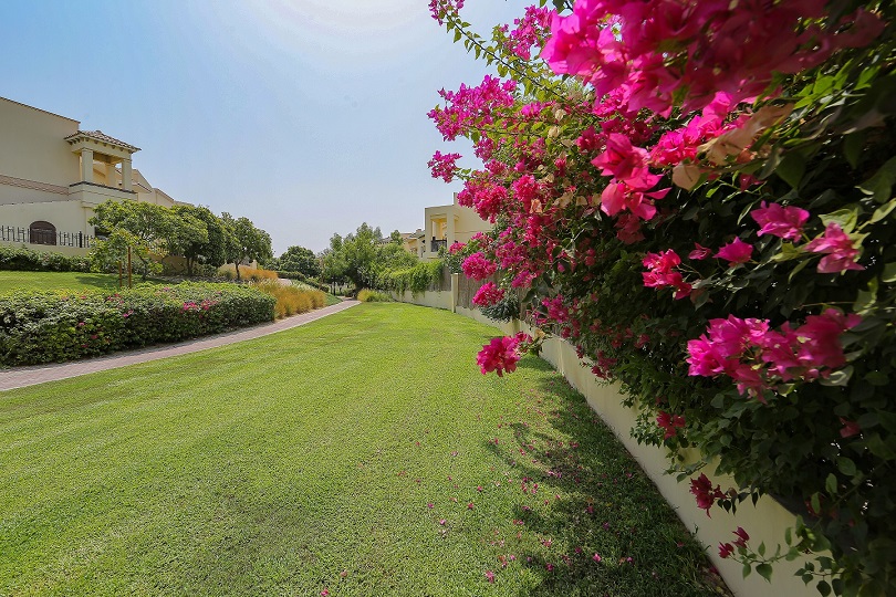 حدائق مجمع شروق في دبي