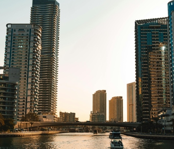 Image Credit : Dawid Tkocz. www.pexels.com