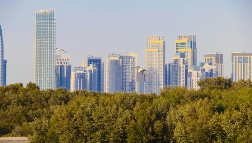 Photo by Subbu Rayan: https://www.pexels.com