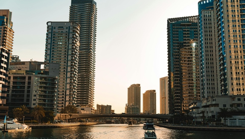 Image Credit : Dawid Tkocz. www.pexels.com