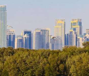 Photo by Subbu Rayan: https://www.pexels.com