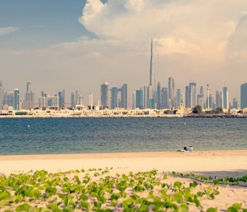 Photo by Denys Gromov: https://www.pexels.com